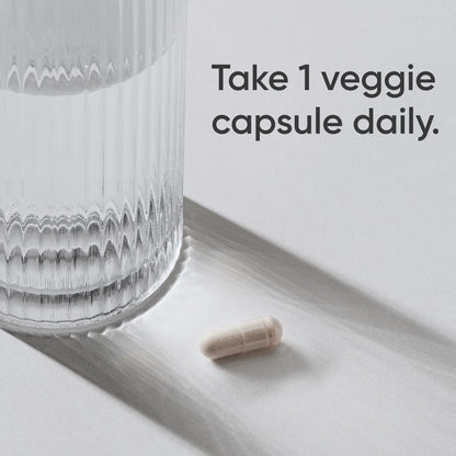 ® Digestive Enzymes with Probiotics & Ginger - Plant Based Vegan Certified Non-Gmo (90 Softgels)